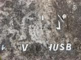 image of grave number 205897